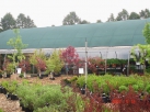 Garden Centre, Nursery Chatham-Kent Ontario